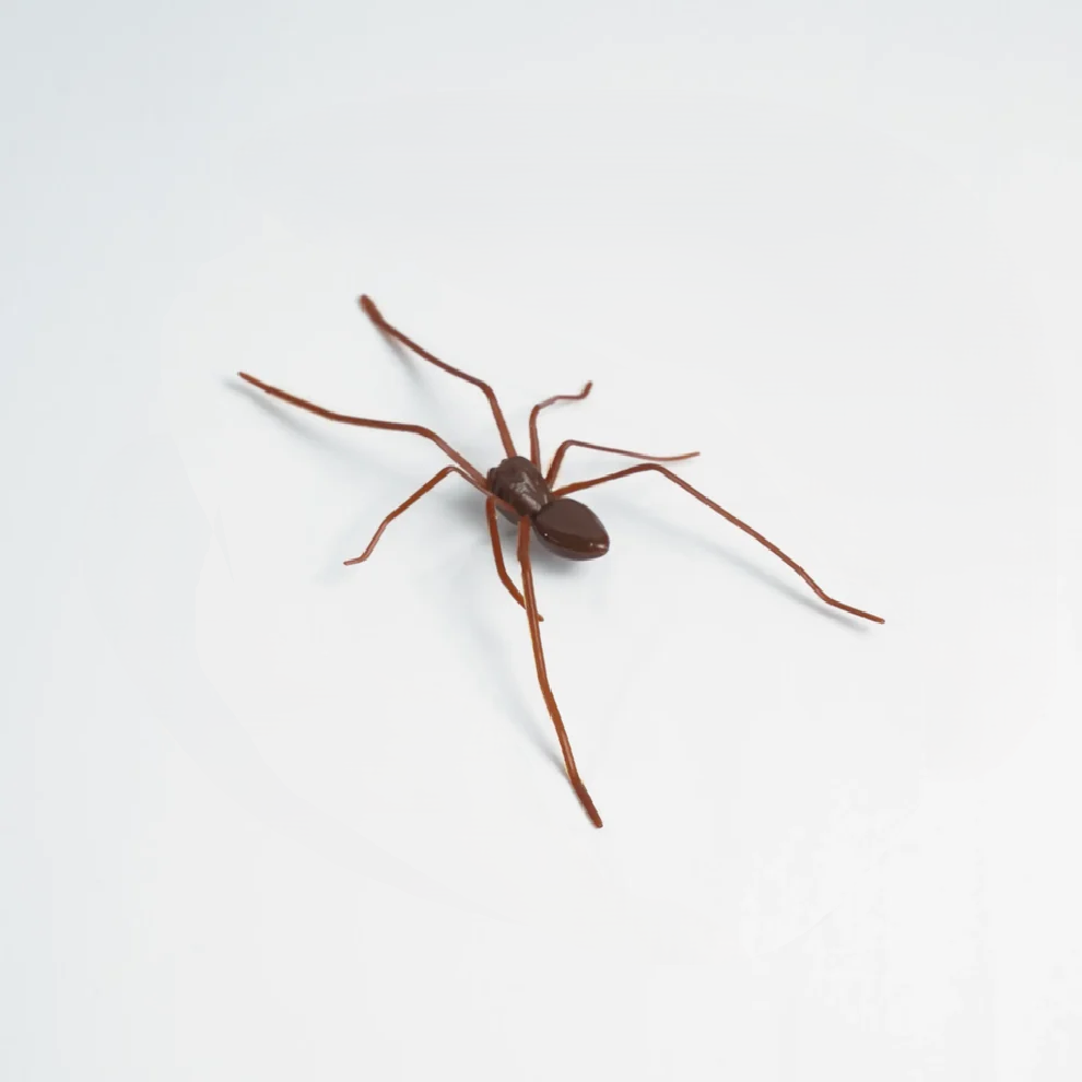 Funny Magnetic Spider Car Decor, Removable Magnet for Cars & Trucks ✅
