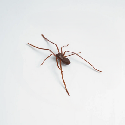 Funny Magnetic Spider Car Decor, Removable Magnet for Cars & Trucks ✅