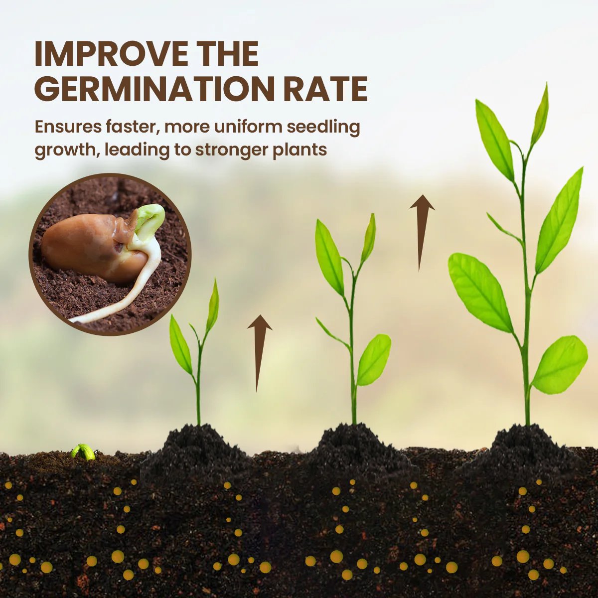 🏆 Limited Time Deal⭐75K+ SOLD🌳Soil Pro Activator