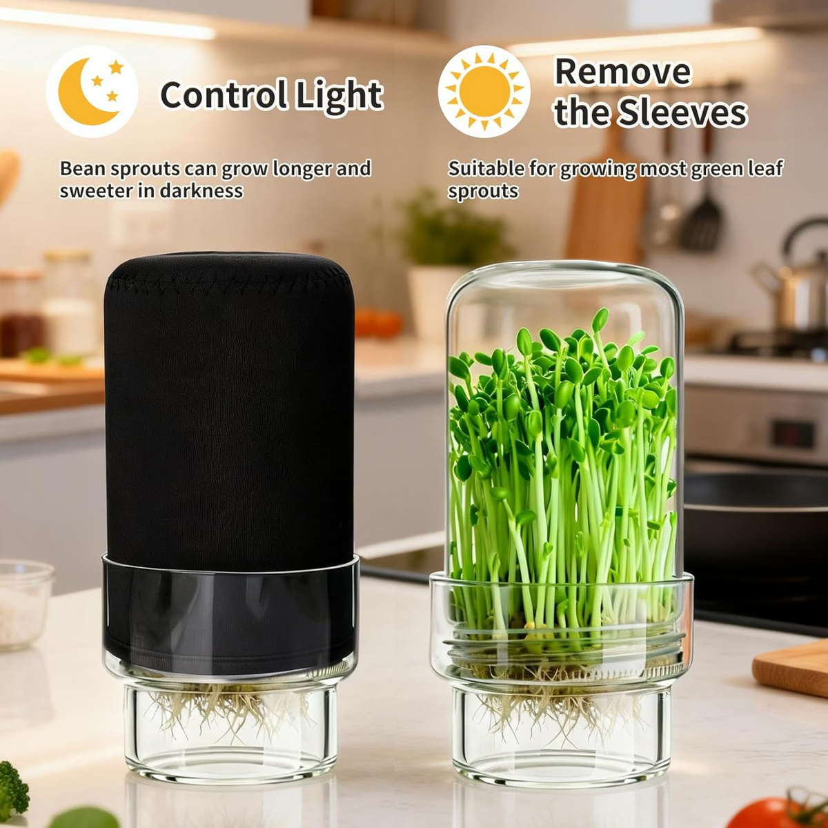 Aktualisiertes Keimungs-Set – Keimglas-Sets