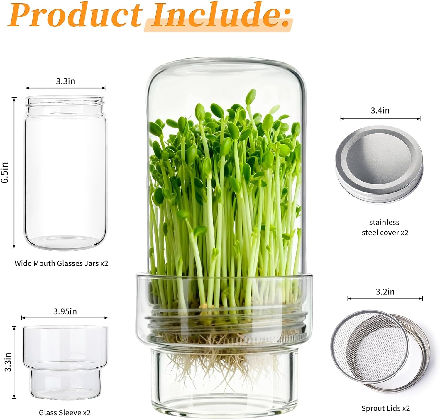 Updated Sprouting Kit - Sprouting Jar Kits