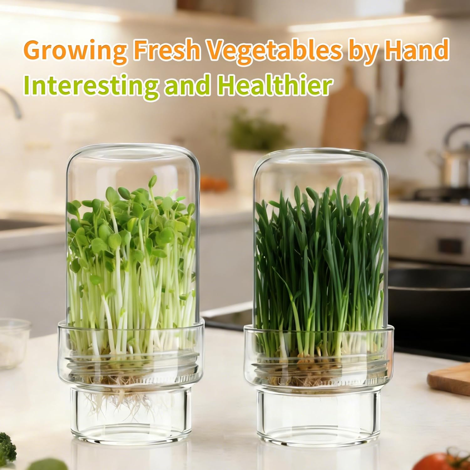 Updated Sprouting Kit - Sprouting Jar Kits