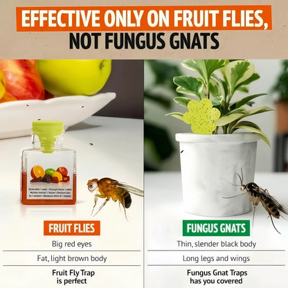 Ultra-Strong Fruit Fly Trap - User Friendly (Up to 3 Weeks per Bottle)