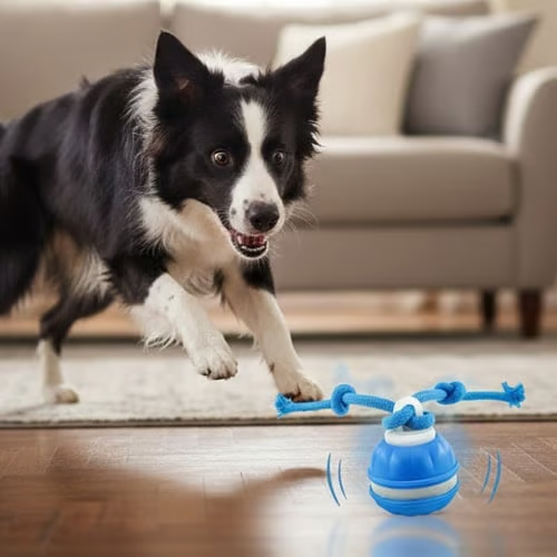 🔥🎁The Chase Buddy Dog Boredom Stimulating Toy