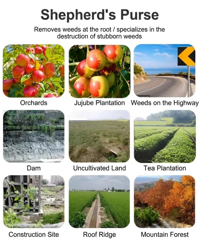 [Popular Offers] Soil herbicide