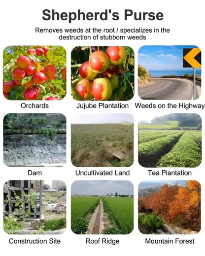 [Popular Offers] Soil herbicide