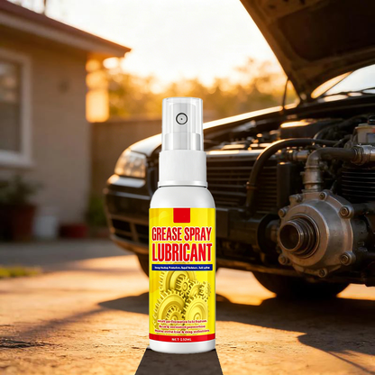 Anti-Rust Lubricant Spray & Rust Remover
