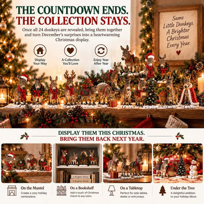 Benevolent ears, brighter days – 24-day 2D Christmas collection with donkeys