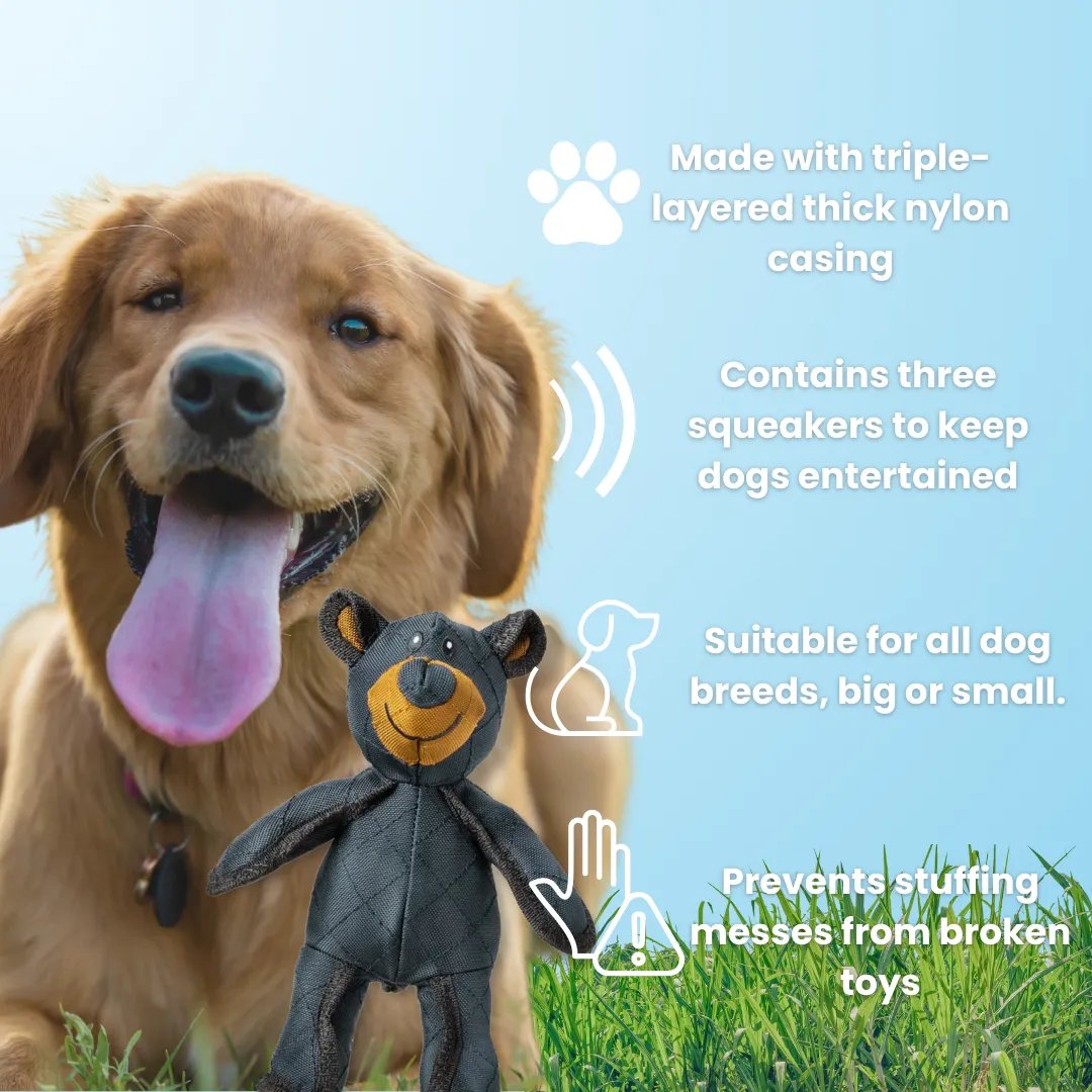 🔥🧸2026 New Bear Toys for strong chewers