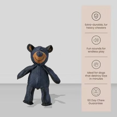 🔥🧸2026 New Bear Toys for strong chewers