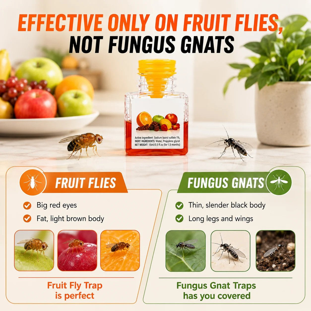 BUY 2 GET 1 FREE🔥Ultra-Strong Fruit Fly Trap - User Friendly (Up to 3 Weeks per Bottle)