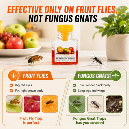 BUY 2 GET 1 FREE🔥Ultra-Strong Fruit Fly Trap - User Friendly (Up to 3 Weeks per Bottle)