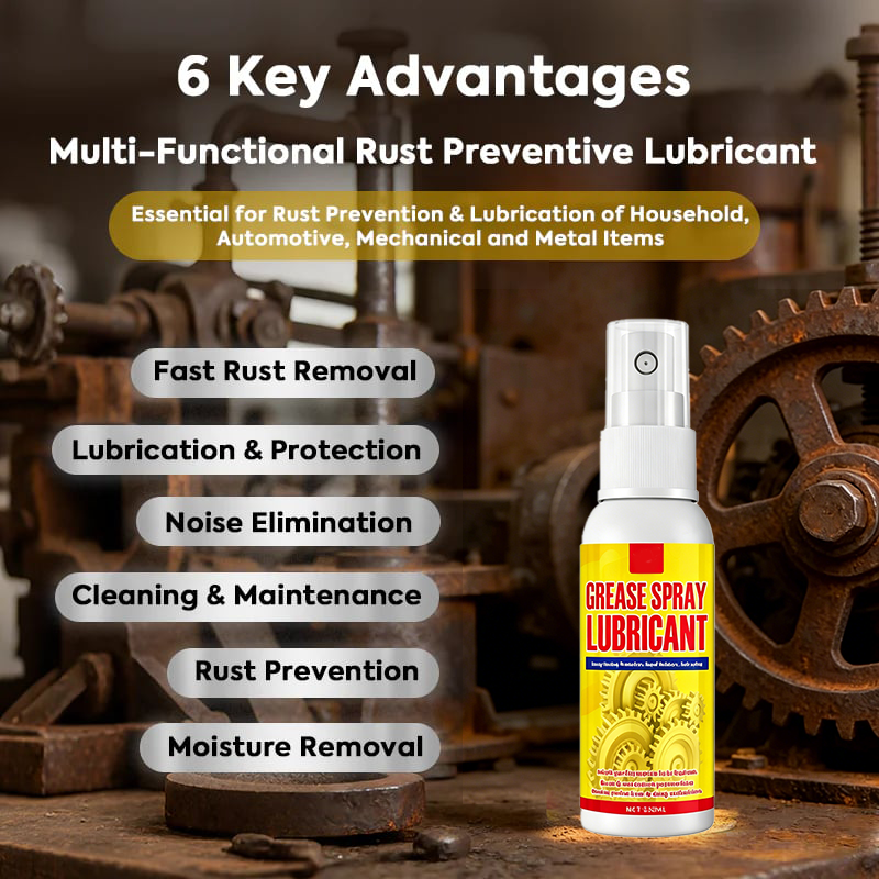 Anti-Rust Lubricant Spray & Rust Remover