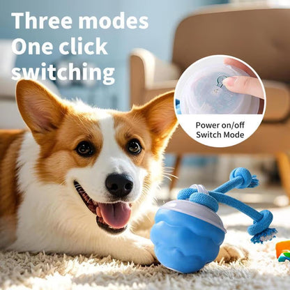 🔥🎁The Chase Buddy Dog Boredom Stimulating Toy