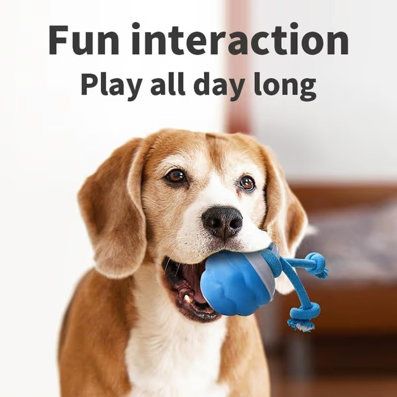 🔥🎁The Chase Buddy Dog Boredom Stimulating Toy