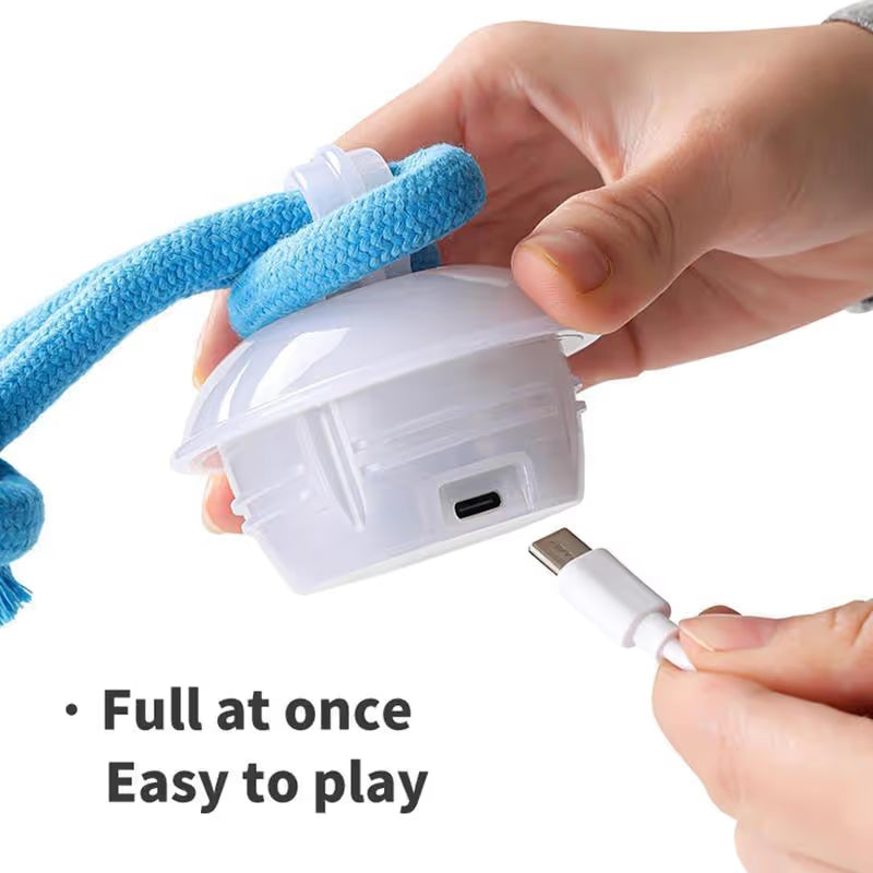 🔥🎁The Chase Buddy Dog Boredom Stimulating Toy