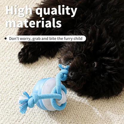 🔥🎁The Chase Buddy Dog Boredom Stimulating Toy