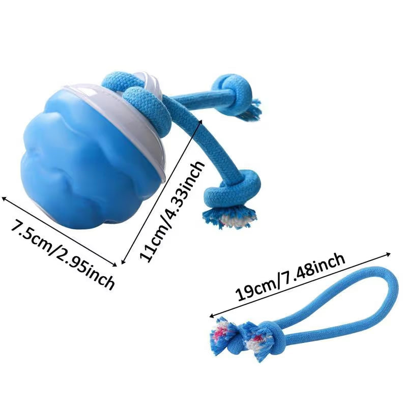 🔥🎁The Chase Buddy Dog Boredom Stimulating Toy