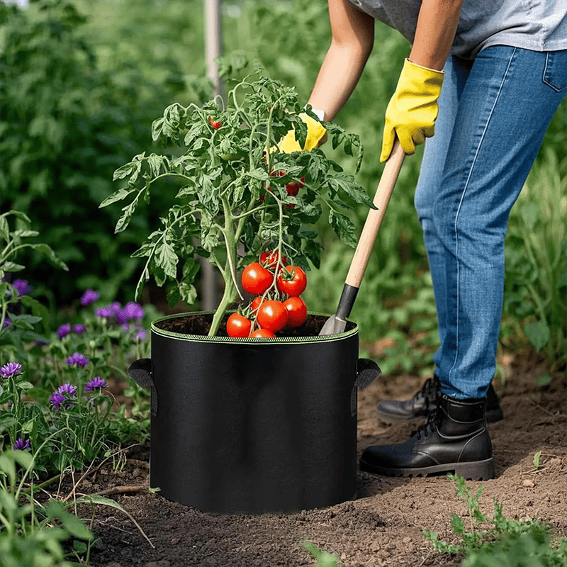 5-Pack 5 Gallon Grow Bags