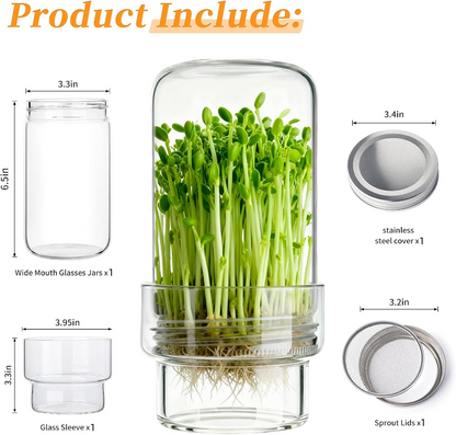 Aktualisiertes Keimungs-Set - Keimglas-Sets