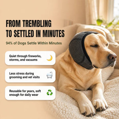 Sound-Dampening Dog Ear Wrap for Fireworks & Storm Anxiety 🐶