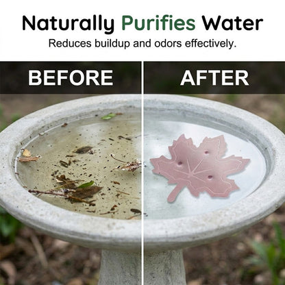 ⏰Buy 1 Get 1 Free⏳Time-Limited Special⏰Universal Fit Bird Bath Purifier