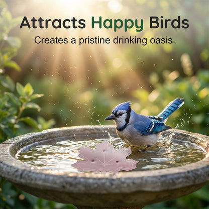 ⏰Buy 1 Get 1 Free⏳Time-Limited Special⏰Universal Fit Bird Bath Purifier